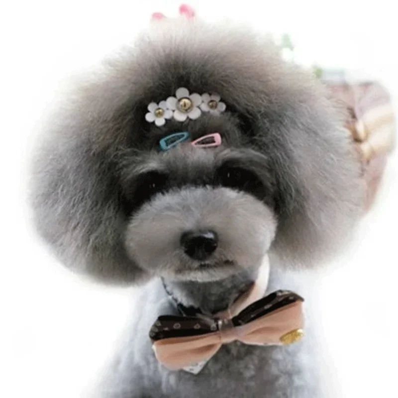 5pc/set Korean Mini 2cm Colorf - Vintage Fashion Dolls recensie en prijs